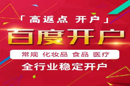百度竞价行业应用案例：解析及实战操作